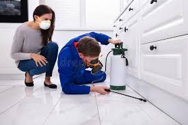 Best Real Estate Pest Inspections  in Waldo, AR